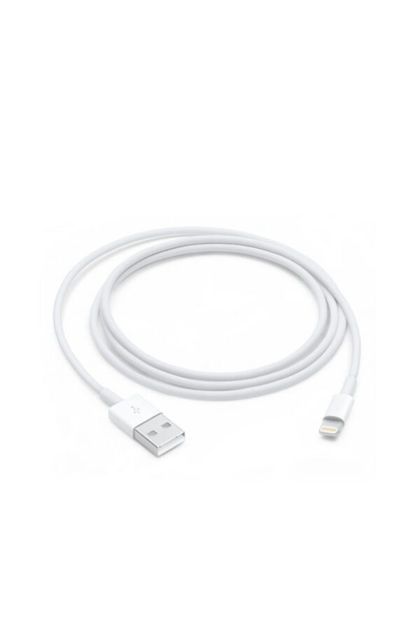 Apple Lightning to USB Cable (1m)