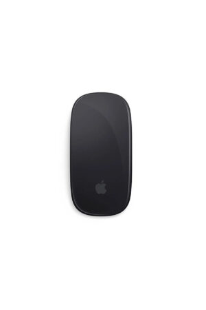 Apple Magic Mouse Space Gray