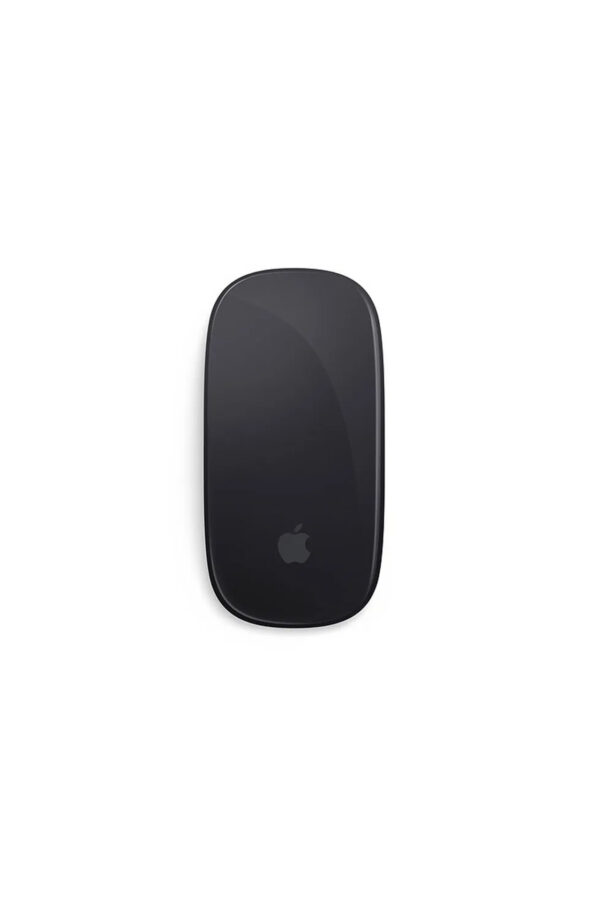 Apple Magic Mouse Space Gray